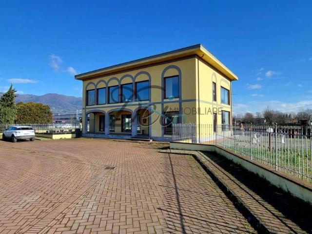 Locale Commerciale in affitto a Capannori, Lucca