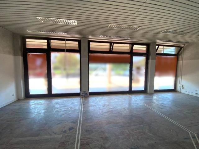 Locale Commerciale in affitto a Cartura, Veneto