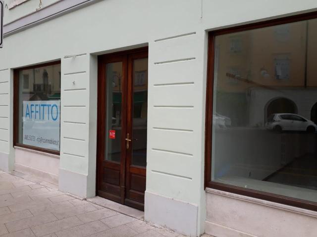 Locale Commerciale in affitto a Borgo Castello, Gorizia