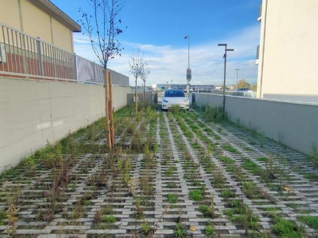 Locale Commerciale in affitto a Zambra, Sesto Fiorentino