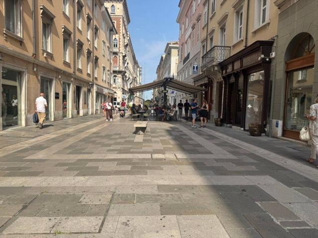 Locale Commerciale in affitto a Città Nuova-Barriera Nuova-San Vito-Città Vecchia, Villa Opicina