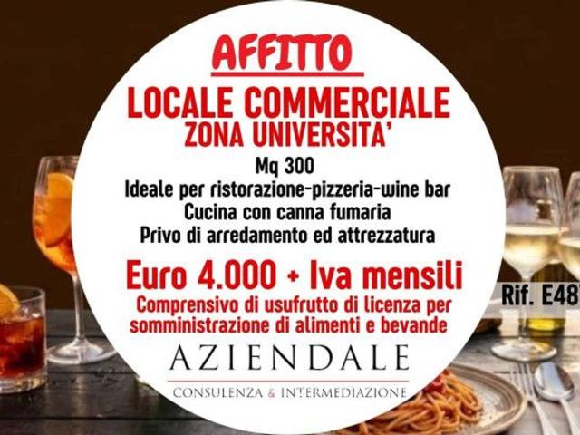 Locale Commerciale in affitto a Centro storico, Brenzone