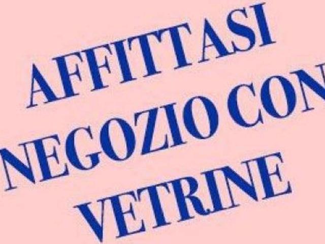 Locale Commerciale in affitto a Sud, Brenzone