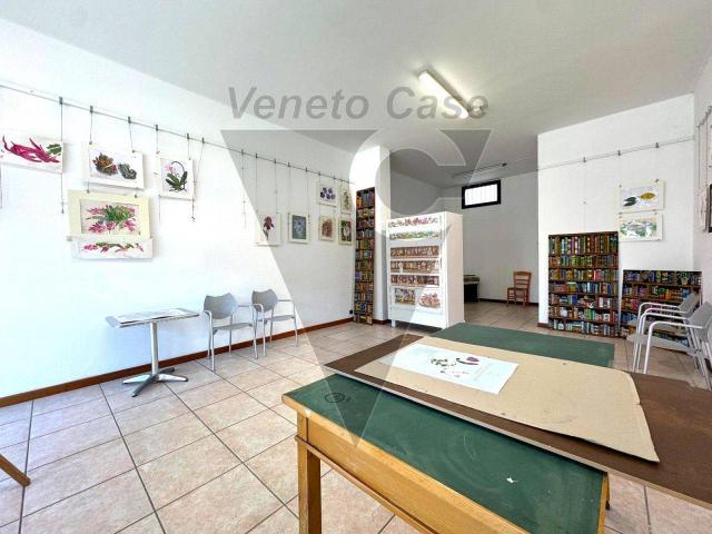 Locale Commerciale in affitto a Vigonovo, Veneto