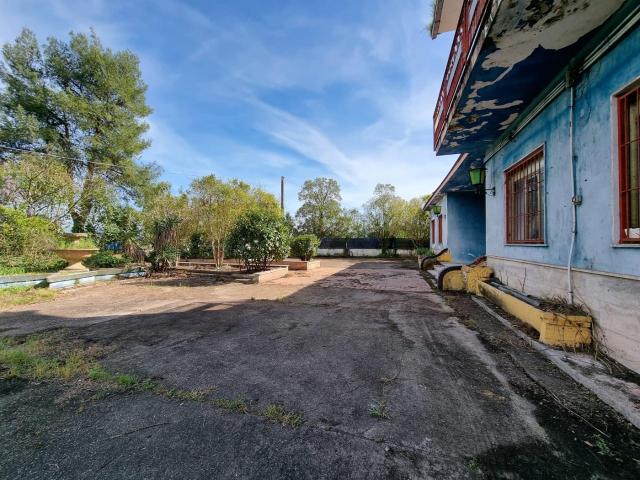 Locale Commerciale in vendita a Alife, Campania