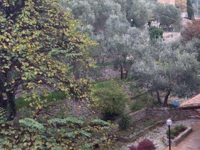 Locale Commerciale in vendita a Assisi, Umbria