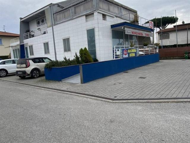 Locale Commerciale in vendita a Nocchi, Camaiore
