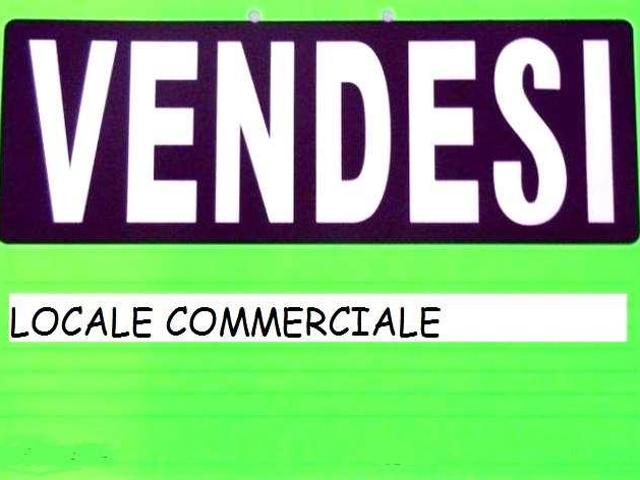 Locale Commerciale in vendita a Carpaneto Piacentino, Reggio Emilia