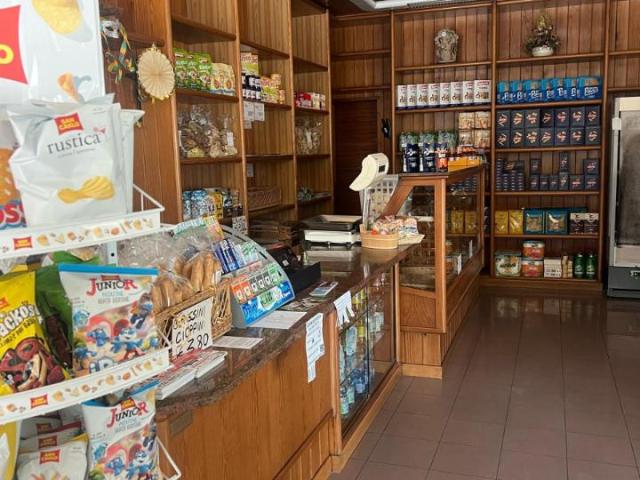 Locale Commerciale in vendita a Cartura, Veneto