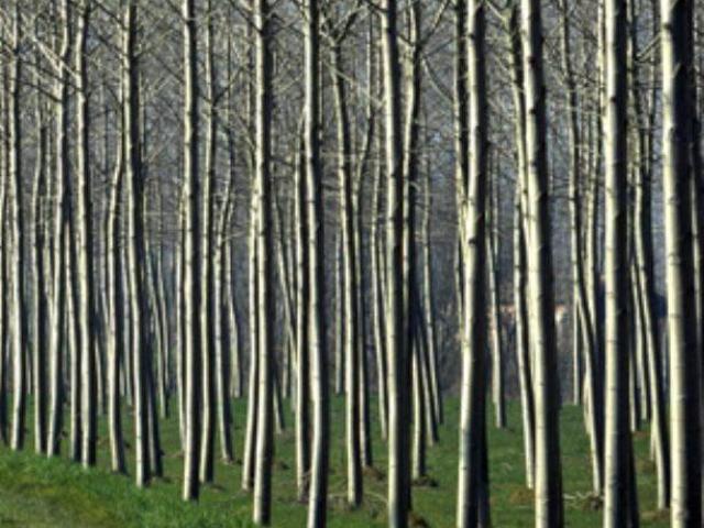 Rustico in vendita a Marcaria, Lombardia