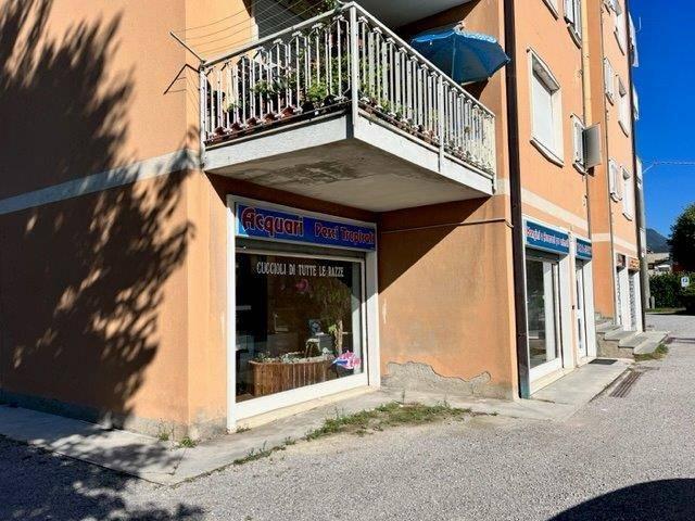 Locale Commerciale in vendita a Mojana, Merone