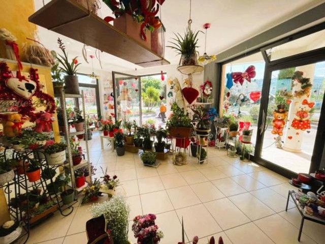 Locale Commerciale in vendita a Paglieta, Abruzzo
