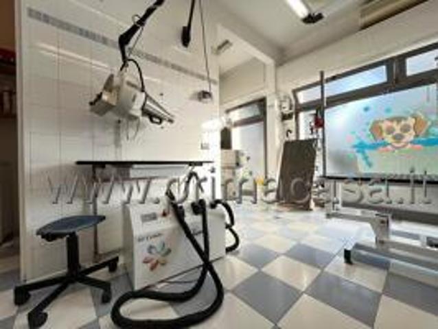 Locale Commerciale in vendita a Catene, Venezia