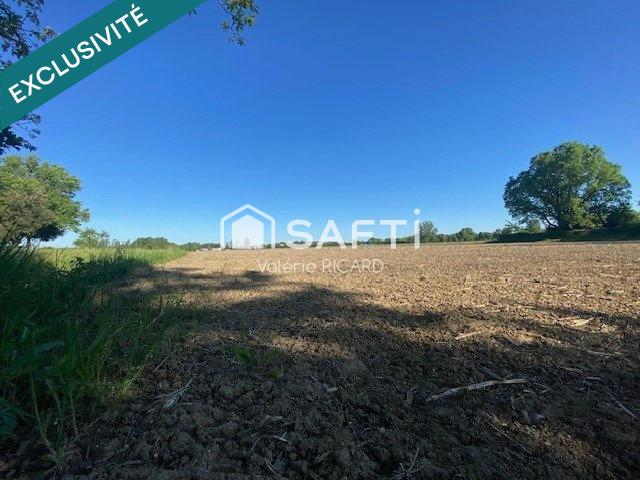 Terrain vente à Montauban, Nègrepelisse