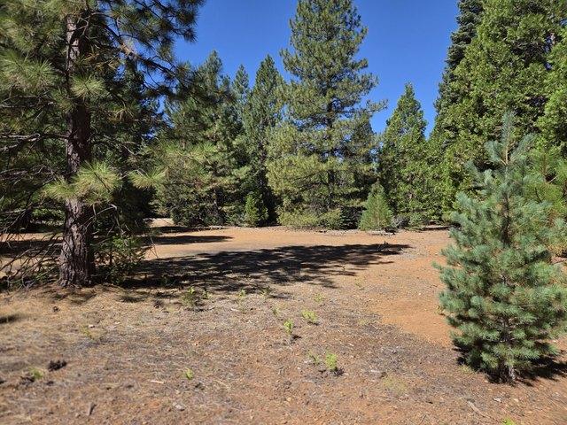 Land for sale in Shingletown, Shasta County