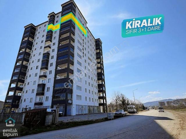 Ordu içerisinde kiralık mülk
