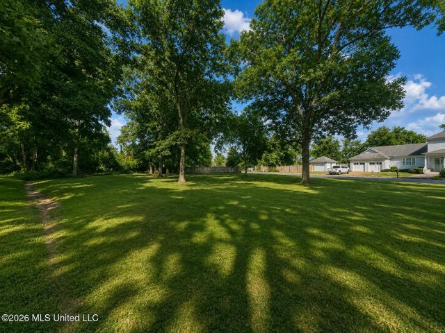 Land for sale in Coahoma, Mississippi