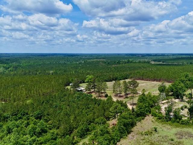 Land for sale in Helena, Georgia