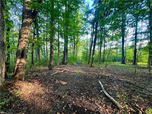 Land for sale in Dryden, New York