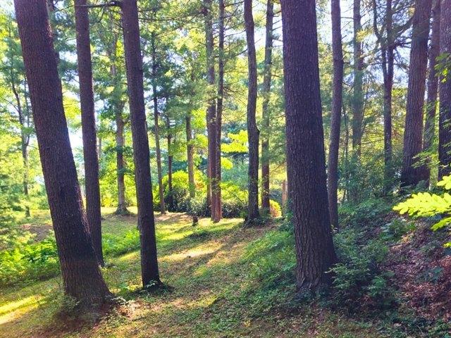 Land for sale in Plympton, Plymouth County