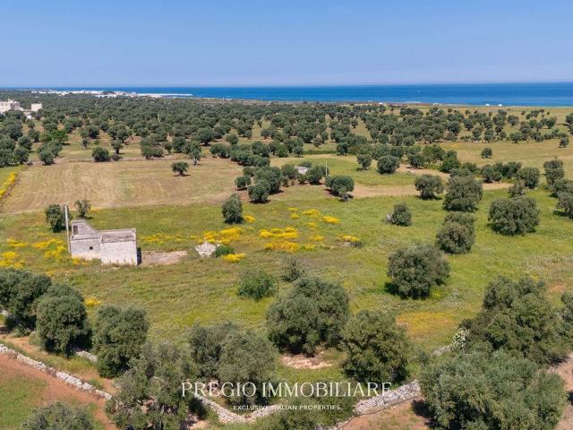 Casa in vendita a Savelletri, Puglia