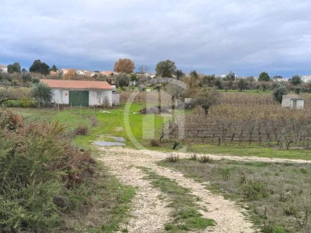 Terreno venda em Nelas