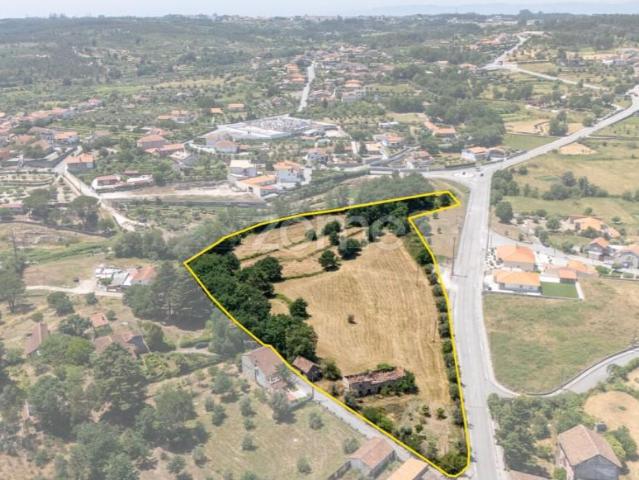 Terreno venda em Nelas