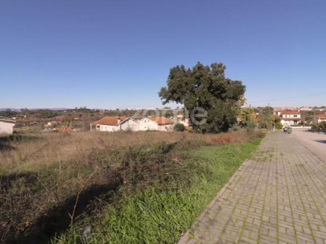 Terreno venda em Nelas