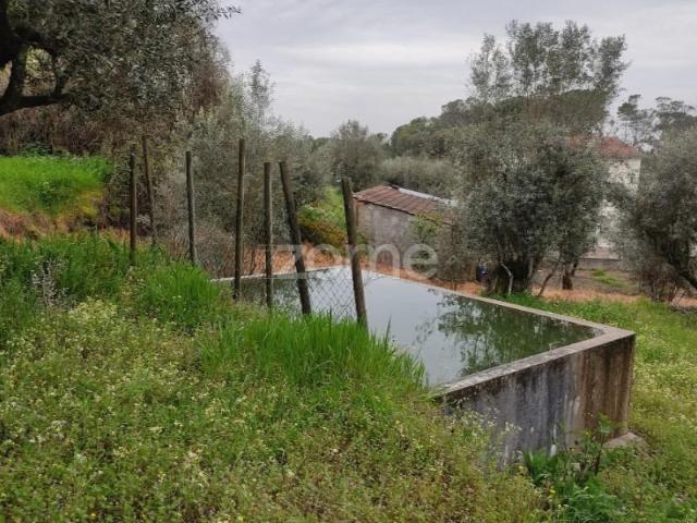 Terreno venda em Nelas