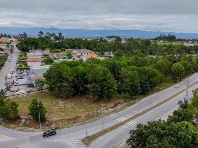 Terreno venda em Nelas