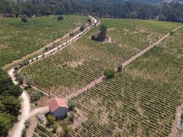 Terreno venda em Carvalhal Redondo e Aguieira, Nelas