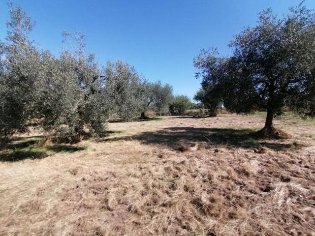 Terreno in vendita a Unione di Comuni Montani Colline del Fiora, Pitigliano