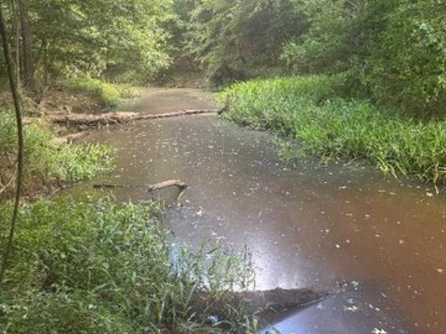 Land for sale in Roxie, Mississippi
