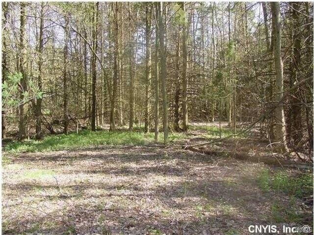 Land for sale in Canastota, New York