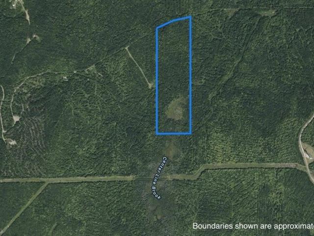 Land for sale in Oakfield, Maine