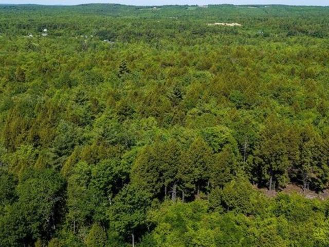 Land for sale in Washington, Maine