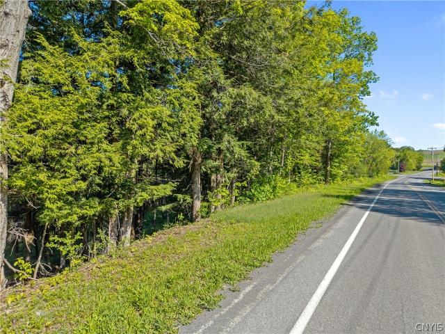 Land for sale in Erieville, New York
