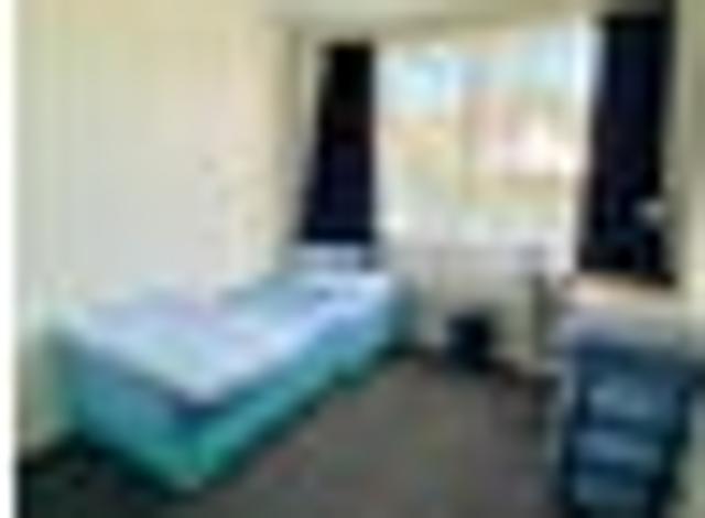 Apartment for rent in Nelson South, Nelson City