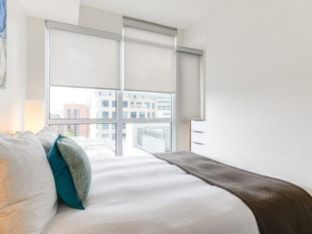 House for rent in Spadina—Fort York, Toronto