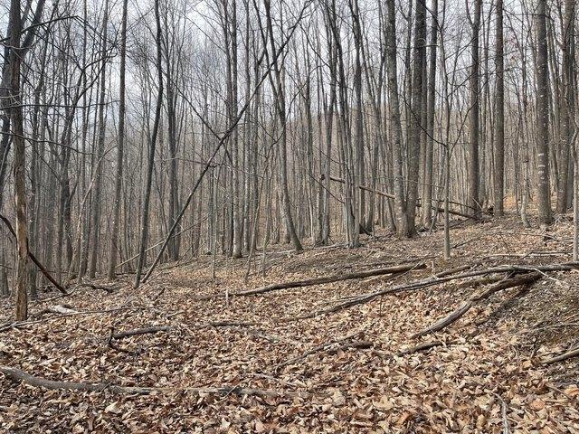 Land for sale in Virginia