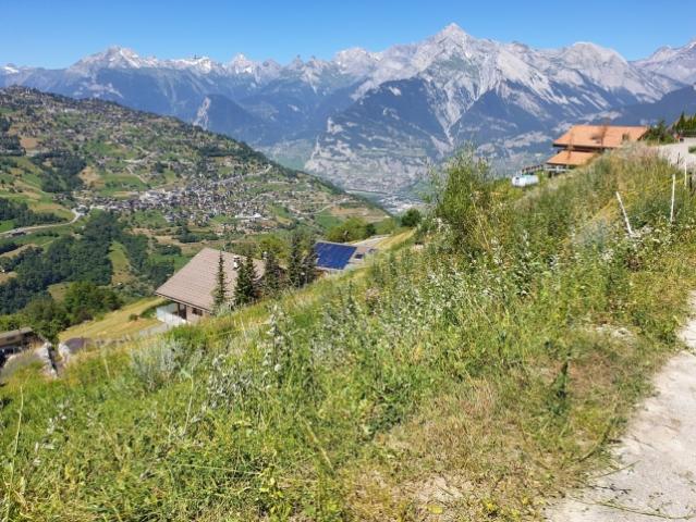 Grundstück kaufen in Baar, Nendaz, Wallis