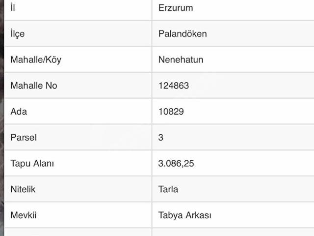 Palandöken, Erzurum içerisinde satılık mülk