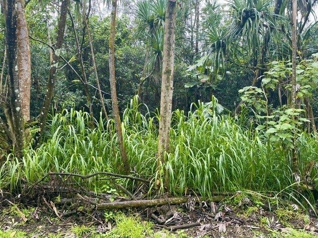 Land for sale in Pahoa, Hawaiʻi County
