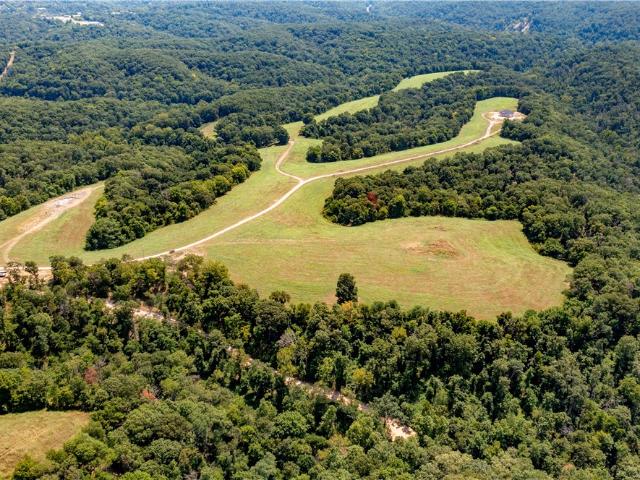 Land for sale in Pineville, Missouri