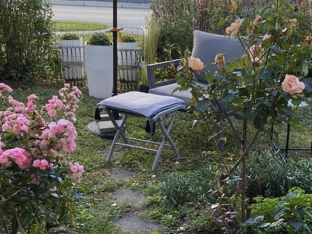 Lägenhet hyra i Visby, Gotland