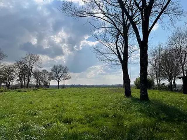 Terrain vente à Cognac, Nercillac