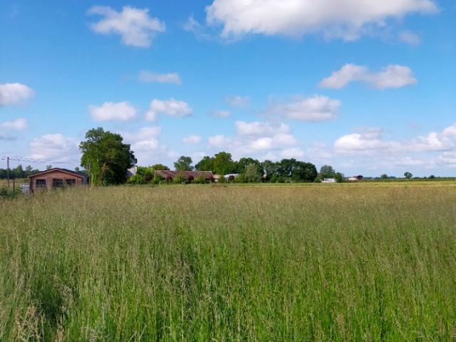 Terrain vente à France métropolitaine, Nercillac