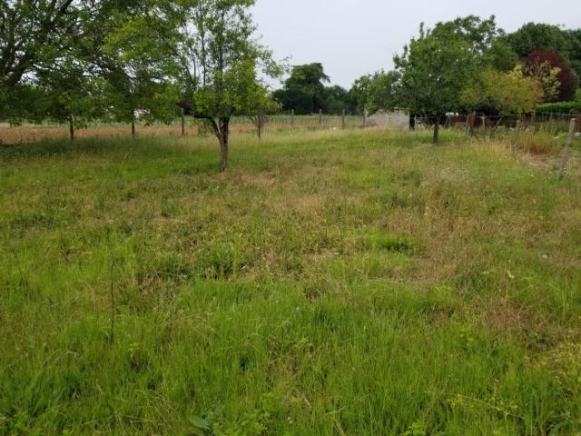 Terrain vente à France métropolitaine, Nercillac