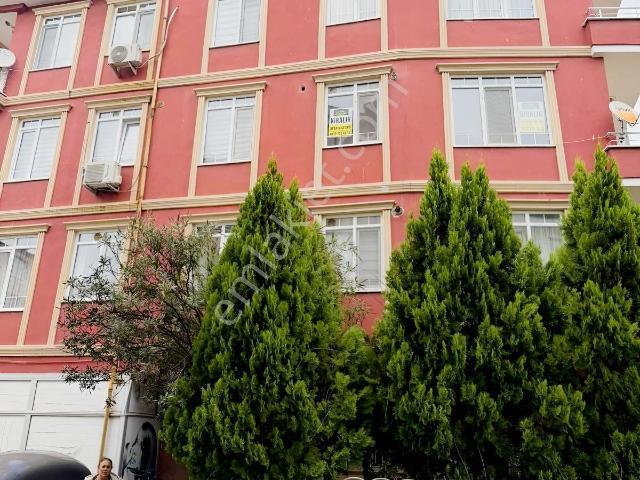 Yalova Belediye sınırı, Yalova Merkez içerisinde kiralık mülk