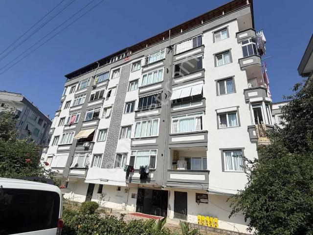 Çinarcik, Yalova içerisinde satılık mülk